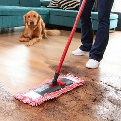 SPDVI1MOP0024_6.jpg
