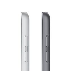 TABAPPTZI0102_5.jpg
