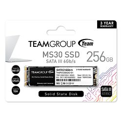 TEASD-256GB_MS30_2.jpg
