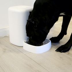TELLUR SMART WIFI PET FEEDER, ULTRA HD CAMERA, 4L bijeli