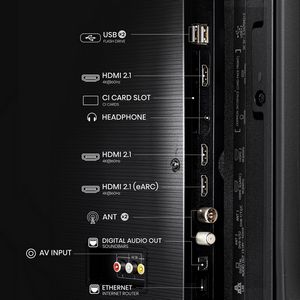 TVAHINLCD0049_2.jpg