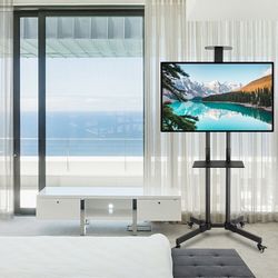 TVATHLUCH0023_9.jpg