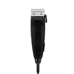 UFEGA-600459_4.jpg