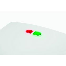 UFEGA-7404439_3.jpg