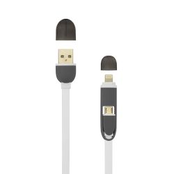 USB-2IN1W-R_1.jpg
