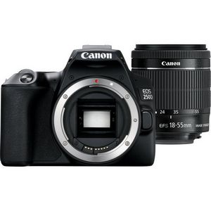 Canon EOS 250D + EF-S 18-55mm f/3.5-5.6 III SLR Camera Kit 24.1 MP CMOS 6000 x 4000 pixels Black