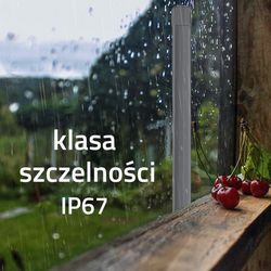 WLONONWCRBI10_3.jpg