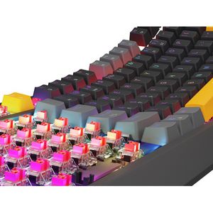 WLONONWCRCRNI_17.jpg