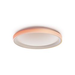 Pametna stropna svjetiljka AQARA Ceiling Light T1M (6975833352128)