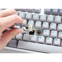 WLONONWCRCXNL_6.jpg