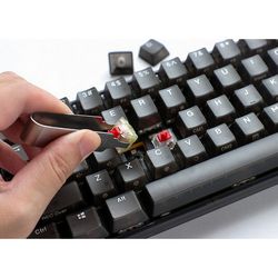 WLONONWCRCXRH_6.jpg