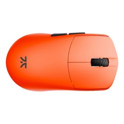 WLONONWCREDCG_8.jpg