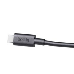 ZDLBEINOT0002_2.jpg