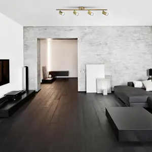 activejet-quadruple-gold-ceiling-wall-lamp-spectra-strip-spo-82887-oswacjlir0004.webp