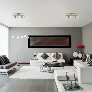 activejet-spectra-double-gold-ceiling-wall-lamp-strip-spotli-71081-oswacjlir0002.webp