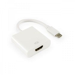 Adapter SBOX HDMI F - TYPE C M