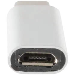 adapter-usb-c-microusb-23950-5999084938543.webp