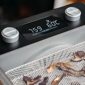 adler-ad-6660-mushroom-and-fruit-dryer-90866-agdadlsug0009.webp
