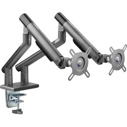 Age Zone Arm Duo Aluminum Monitor Arm, Gray