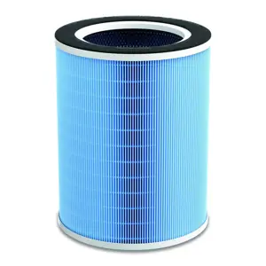 air-purifier-filter-hepa13alpha-cop002399-23952-wlononwcrmugb.webp