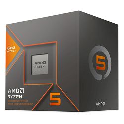 amd-ryzen-5-8600g-processor-67302-proamdryz0260_752261.jpg