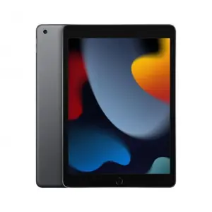 apple-ipad-256-gb-259-cm-102-wi-fi-5-80211ac-ipados-15-grey-76816-wlononwcrjbhn.webp