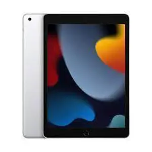 Apple iPad 9th Gen 10.2in Wi-Fi 256GB - Silver
