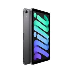 apple-ipad-mini-6th-gen-83in-wi-ficellular-256gb-grey-99184-wlononwcrjbhw.webp