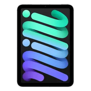 apple-ipad-mini-7th-gen-83in-wi-ficellular-256gb-grey-68570-wlononwcross1.webp
