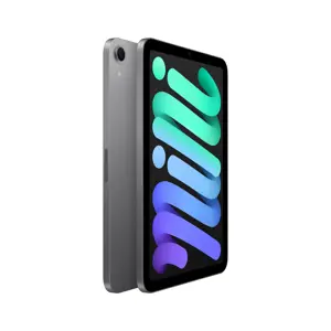 apple-ipad-mini-wi-fi-128gb-space-grey-98119-wlononwcrjblo.webp