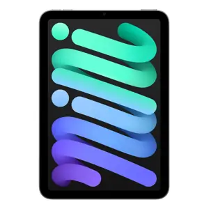 apple-ipad-mini-wi-fi-256gb-space-grey-74961-wlononwcrjbm5.webp