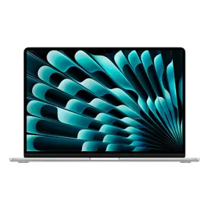 apple-macbook-air-apple-m-m4-laptop-389-cm-153-16-gb-256-gb--90017-wlononwcrmwb9.webp
