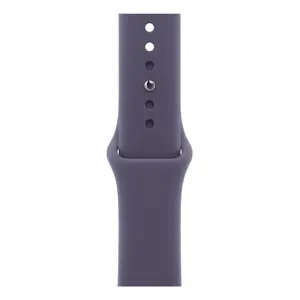 Apple MFFX4ZM/A Smart Wearable Accessories Band Purple Fluoroelastomer