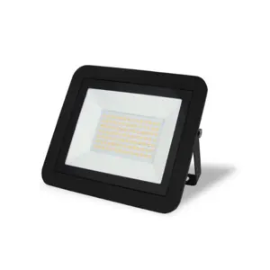 asalite-led-spotlight-50w-6500k-4000lm-83128-e0001998.webp