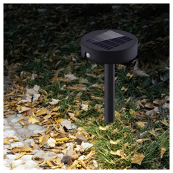 asalite-plastic-garden-solar-lamp-58750-asasv-led_asal0303.webp