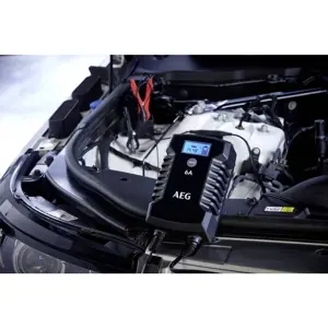 automatic-charger-aeg-ld6-612v-6a-54210-wlononwcrizzc.webp