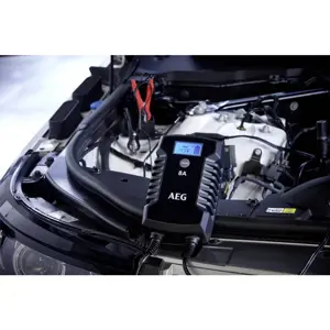 automatic-charger-aeg-ld8-1224v-8a-73031-wlononwcrizza.webp