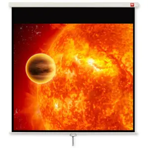 Avtek International Video 280 projection screen 4:3