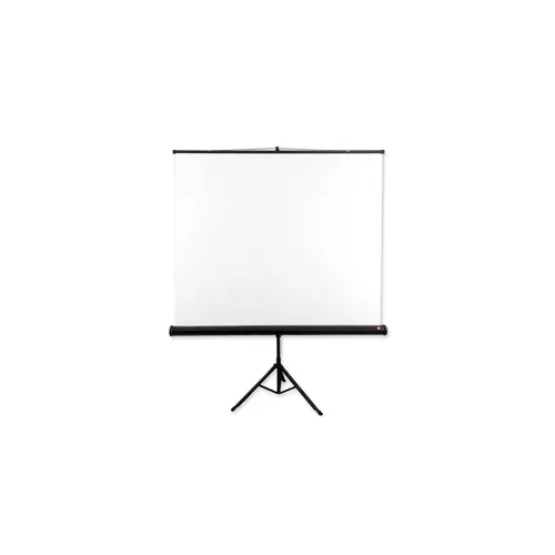 Avtek Tripod Standart 175 projection screen 1:1