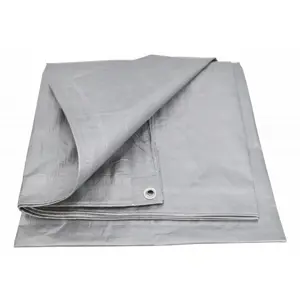 awtools-aw68076-tarpaulin-46400-wlononwcrbwe1.webp