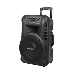 Azusa Active Column (with 2 wireless mics, SD, Bluetooth, USB) 12" 40W