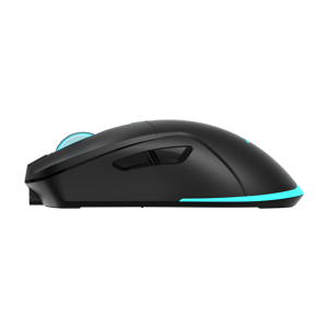 baracuda-mis-bgm-121-turtle-crni-3200-dpi-16642-turtle-b.webp