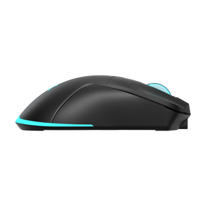 baracuda-mis-bgm-121-turtle-crni-3200-dpi-31050-turtle-b.webp