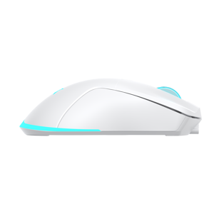 baracuda-mis-bgm-122-turtle-bijeli-3200-dpi-wireless-95007-turtle-w.webp