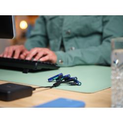 baterija-trust-usb-c-aaa-4-kom-75885-8713439256710.jpg