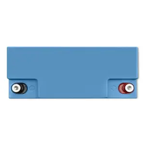 battery-lifepo4-128v-30ah-384wh-w-bms-37031-wlononwcrmuab.webp