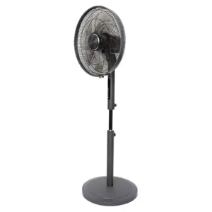 be-cool-freestanding-fan-with-dc-motor-45-cm-and-7-transpare-95539-e0016946.webp