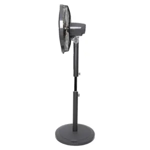 be-cool-freestanding-fan-with-dc-motor-45-cm-and-7-transpare-96500-e0016946.webp