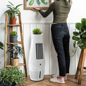 becool-air-cooler-with-insect-protection-74763-e0002533.webp