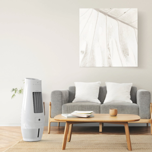becool-air-cooler-with-insect-protection-80625-e0002533.webp
